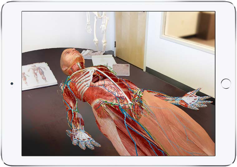 Tải Human Anatomy Atlas 2019 cho iPhone/iPad