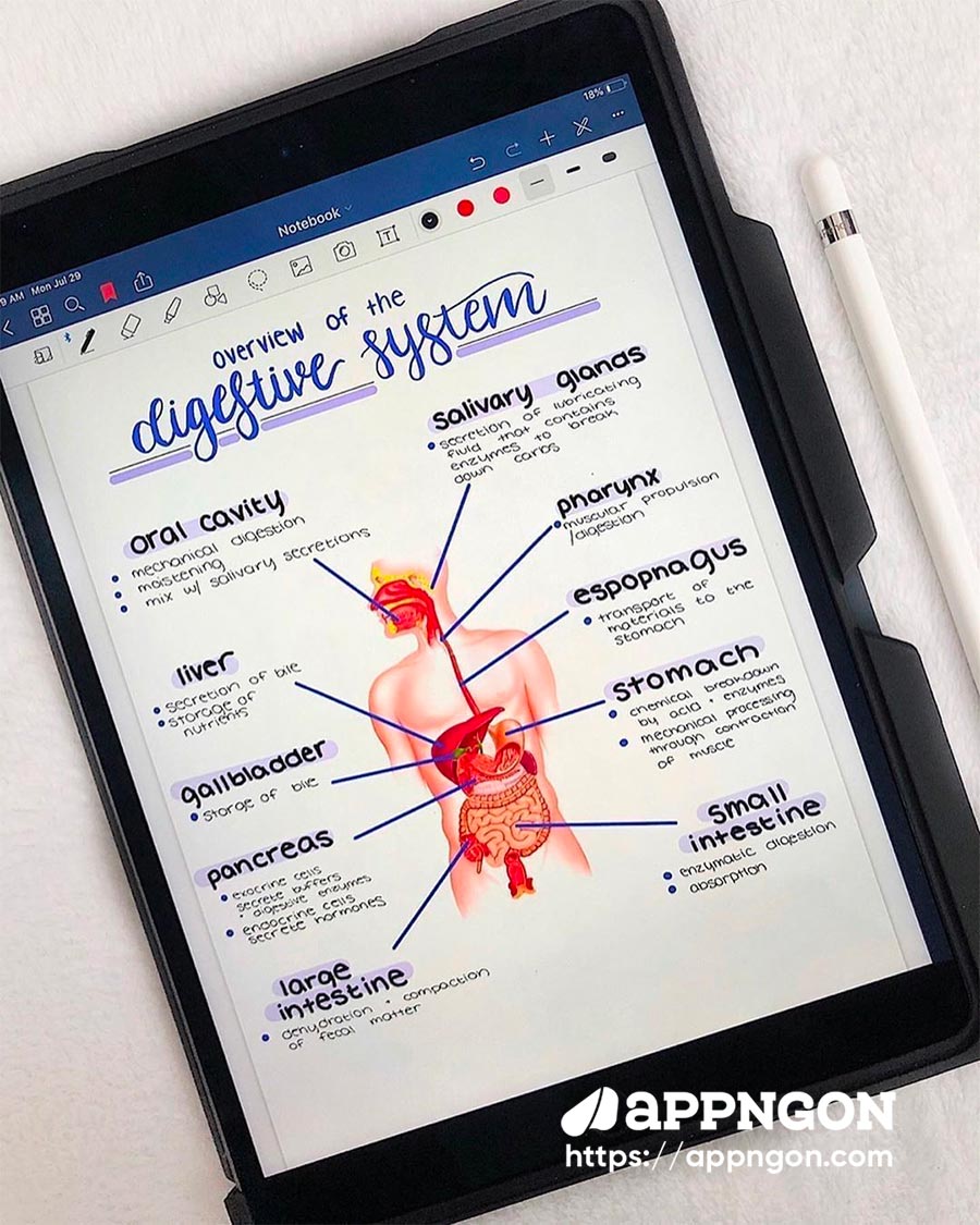 GoodNotes 5 cho iOS