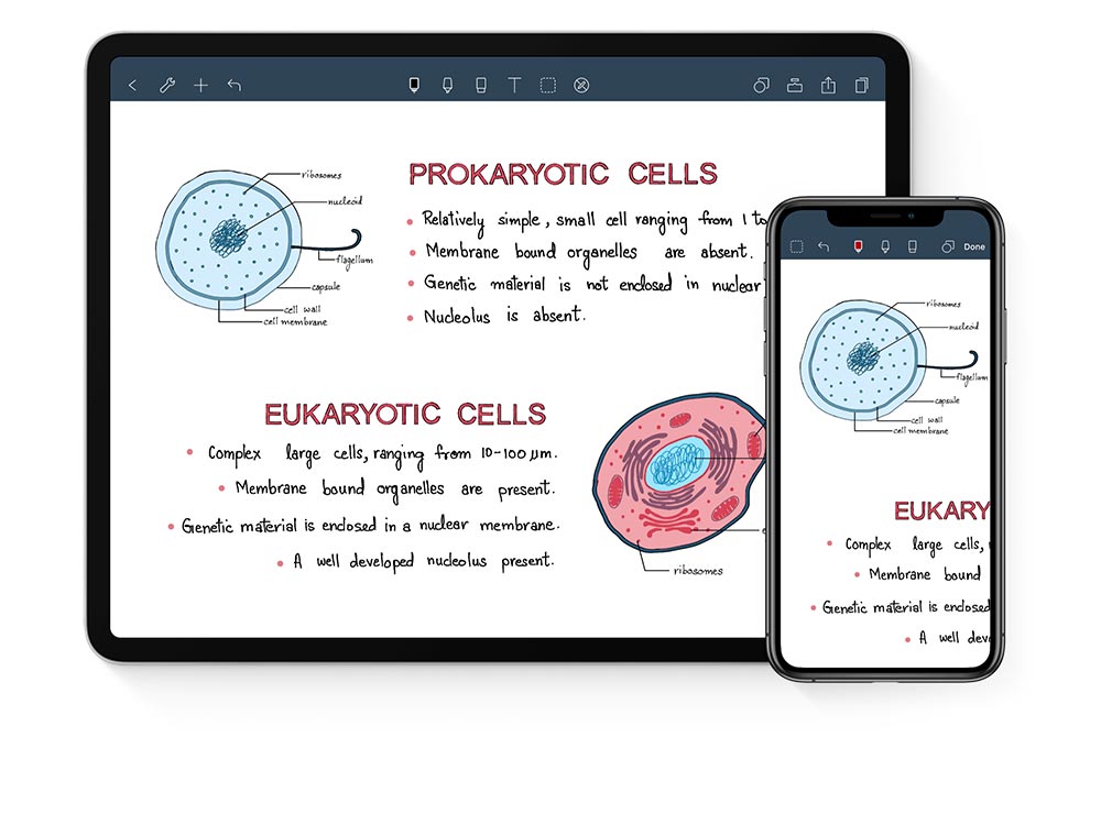 Tải Noteshelf cho iOS miễn phí
