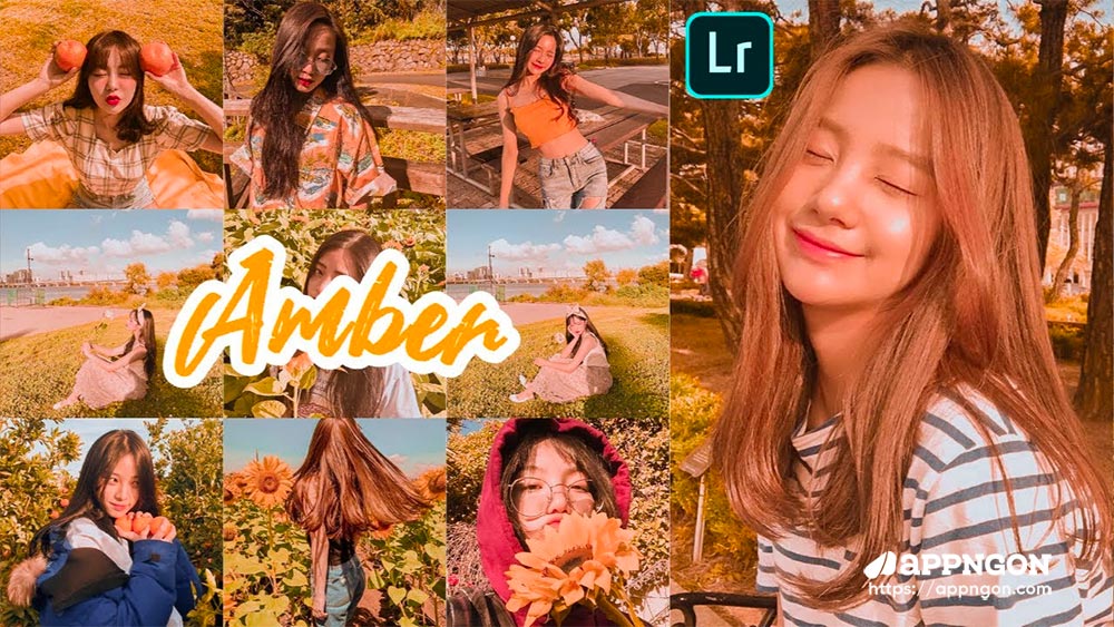Amber Korean Preset