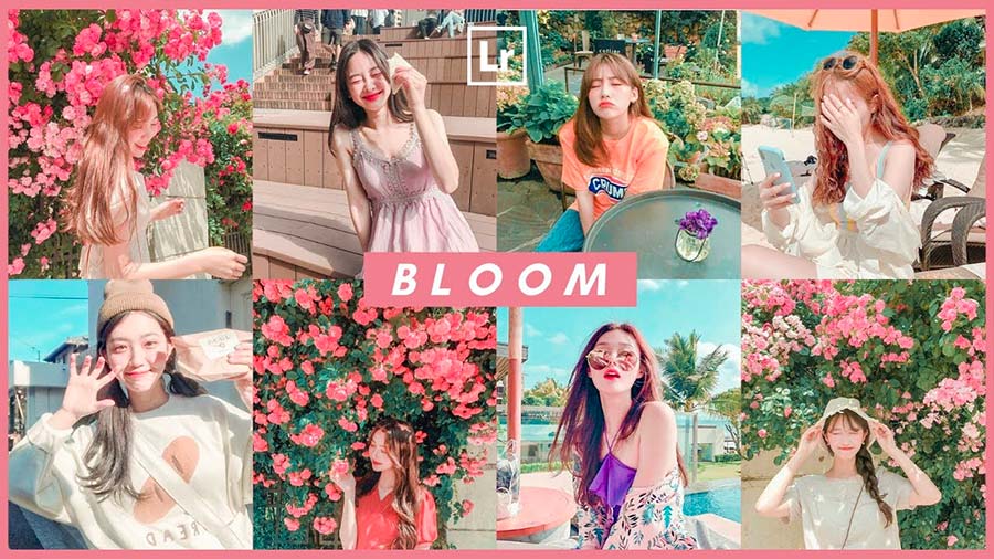 Korean Pastel Preset