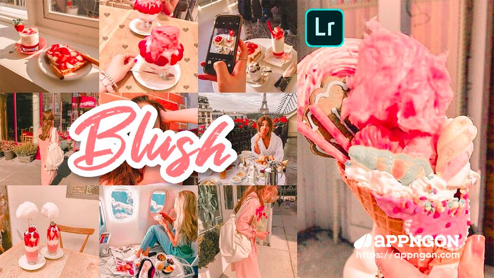 Blush Preset