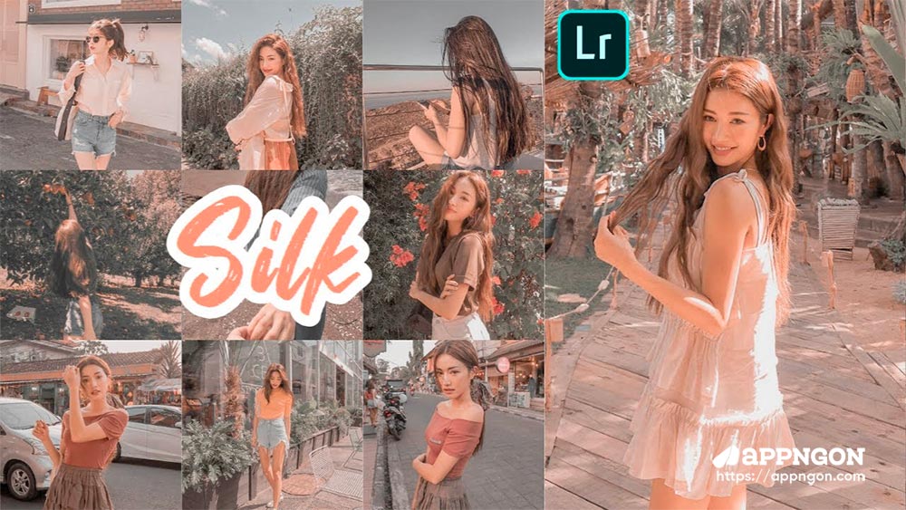 Silk Korean Preset