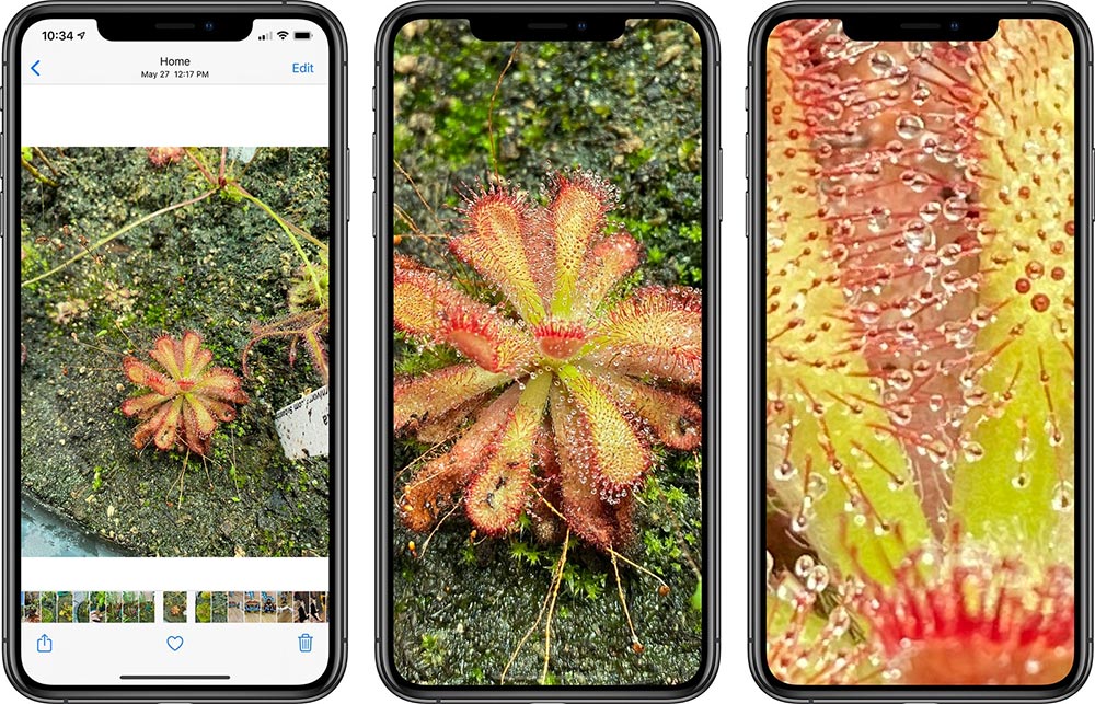 iOS 14 sẽ cho phép bạn zoom ảnh trong Photos sâu hơn