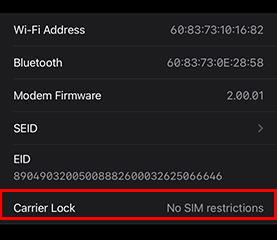Kiểm tra iPhone Lock dễ dàng trên iOS 14